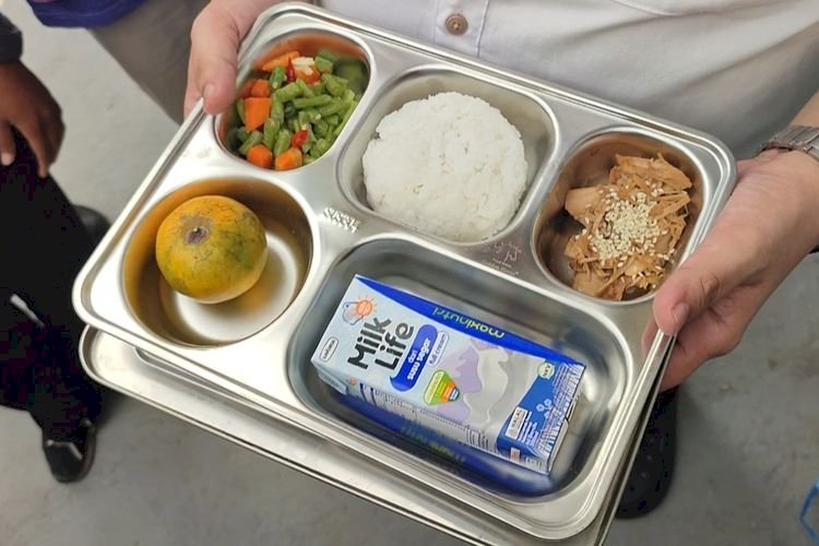 KONTROVERSI MBG:INVESTASI PETERNAKAN AYAM 20T DAN POLEMIK KEBUTUHAN AHLI GIZI