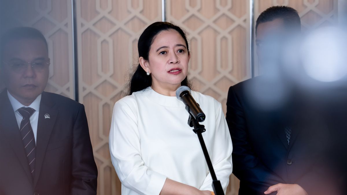Terkait Kasus GRIB Jaya, Puan Maharani Desak Pembubaran Ormas yang Terindikasi Premanisme